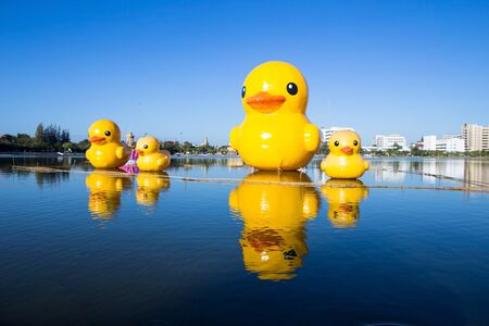 Rubber duckの写真素材