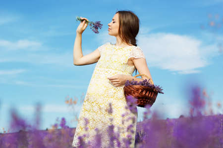 Beautiful pregnant woman in the lavender fieldの写真素材