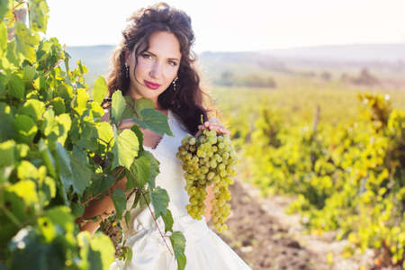 Bride in a vineyard, autumnの写真素材