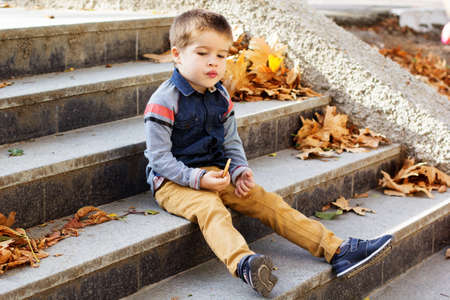 Little toddler boy in autumn parkの写真素材