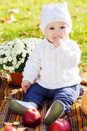 Baby boy with pumpkins in autumn parkの写真素材