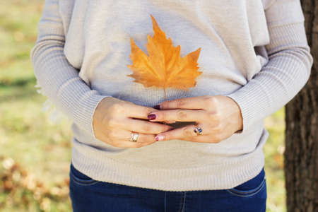 Pregnant girl in autumn parkの写真素材