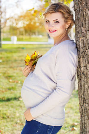 Pregnant girl in autumn parkの写真素材