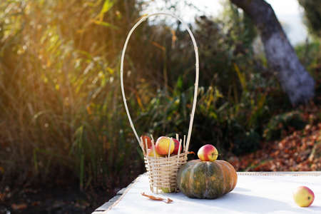 Pumpkin and basket with apples on tableの写真素材