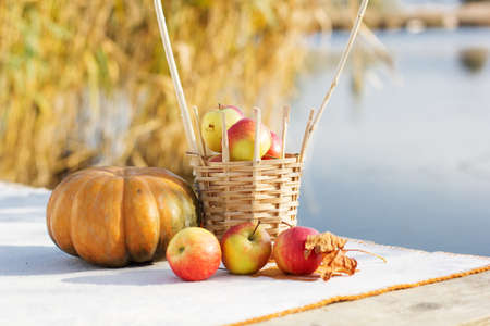 Pumpkin and basket with apples on tableの写真素材