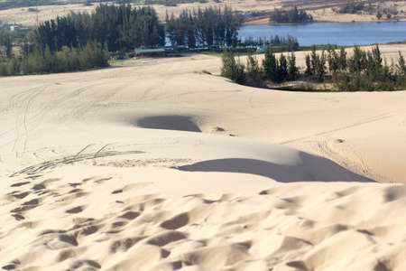 Sand texture at Phan Thiet, Vietnamの写真素材