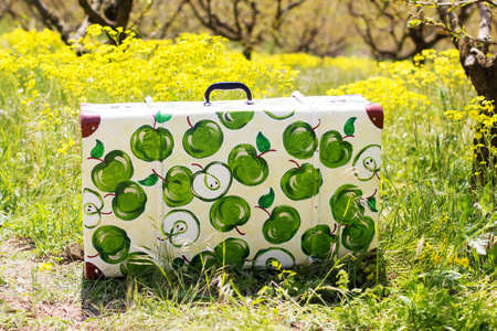 Old suitcase with apple pattern in green grass on natural background.の写真素材