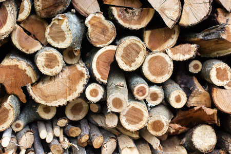 Big wall of stacked wood logs showing natural discoloration