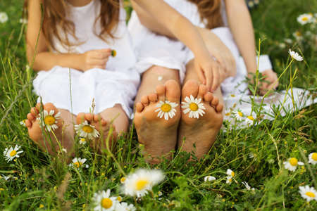 Childs feets with daisy flower on green grass in a green field, outdoorsの写真素材