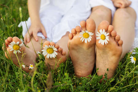 Childs feets with daisy flower on green grass in a green field, outdoorsの写真素材