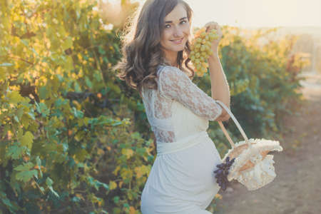 Happy pregnant girl is wearing white lace fashion dress is holding bunch of grapes is walking in autumn vineyardの写真素材