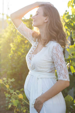 Happy pregnant girl is wearing white dress in autumn vineyard, sunset timeの写真素材