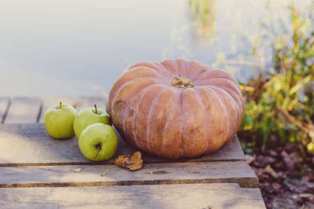 Seasonal fruits apples and vegetables in autumn near river. Thanksgiving holiday conceptの写真素材