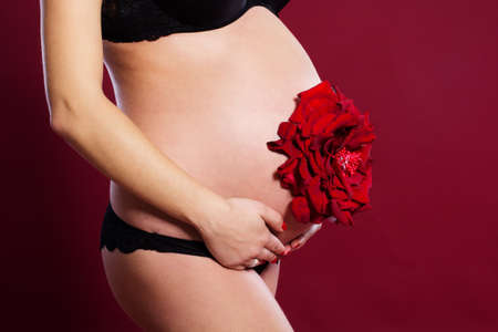 Closeup picture of pregnant belly with red rose flower isolated on redの写真素材