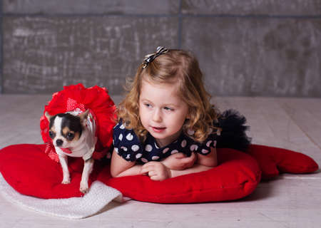 Pretty child girl is wearing fashion dress with small chuhuahua dog is wearing red dressの写真素材