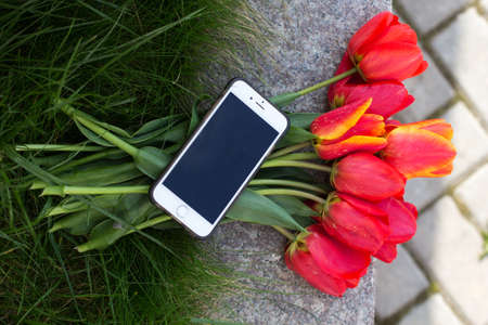 Mobile phone is lying on the bouquet of red tulipsの写真素材