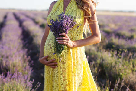 Closeup picture of belly of pregnant woman is wearing fashion yellow dress in a lavender field over sunsetの写真素材