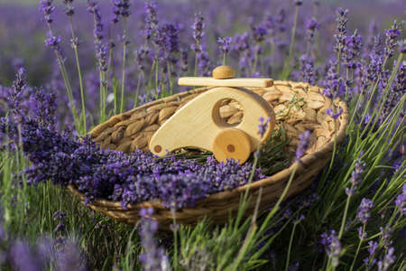 Wooden small toy helicopter in basket with lavender flowersの写真素材