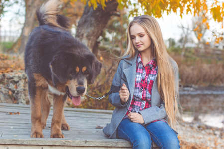 Beautiful blonde teen girl with long hair is resting with puppy of tibetan mastiff in autumn parkの写真素材
