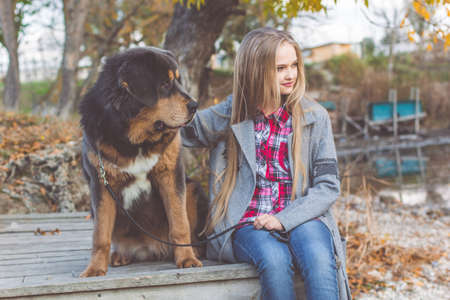 Pretty teen girl with blonde long hair is wearing warm clothes sitting with puppy of brown tibetan mastiff in autumn park with yellow leavesの写真素材