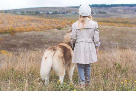 Little girl is looking around from the top of mountain with her husky dogの写真素材