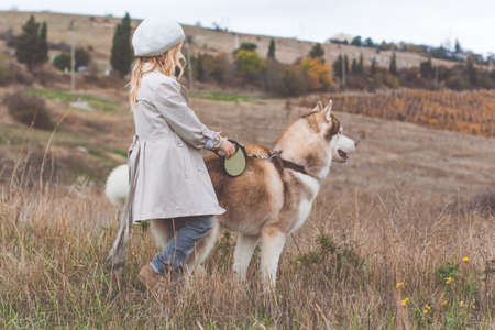 Pretty child girl is wearing fashion warm light clothes walking around with her hairy husky dog on the nature, autumn seasonの写真素材