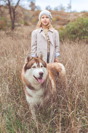 Little pretty child girl is wearing warm clothes walking around with her hairy husky dog on the natureの写真素材