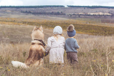 Back view of little girl and child boy are looking around from the top of mountain with her husky dog, autumn seasonの写真素材