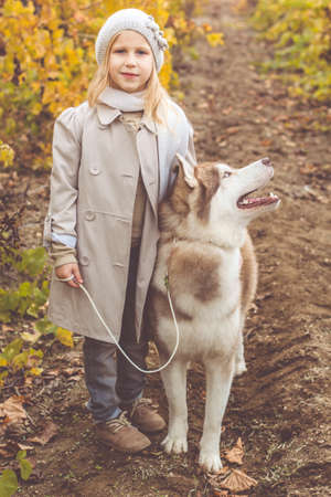 Little cute child girl is wearing warm winter clothes walking with her hairy husky dogの写真素材