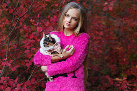 Pretty teen girl is wearing pink cozy winter sweater with small chihuahua dog in autumn park with red leavesの写真素材