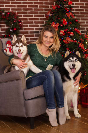 Girl with two dogs of husky near Christmas treeの写真素材