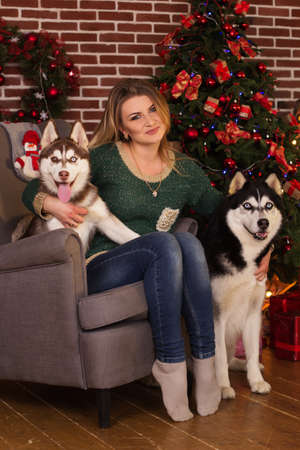 Girl with two dogs of husky near Christmas treeの写真素材