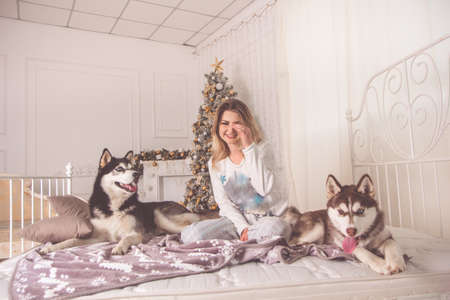 Girl with husky dog in bed near Christmas treeの写真素材