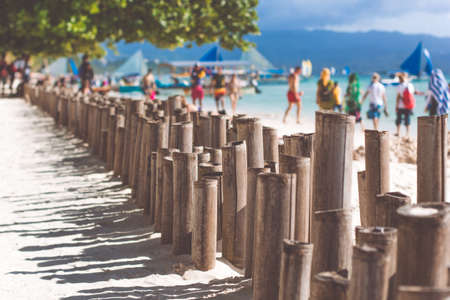 Bamboo sticks on the beach with white sandの写真素材