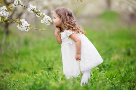 Pretty child girl is smelling flowers in gardenの写真素材