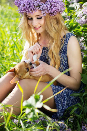 Beautiful blonde teen girl is wearing wreath of lilac flowers and small chuhuahua dogの写真素材