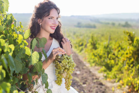 Fashion smiling bride is walking in a vineyard wedding time.の写真素材