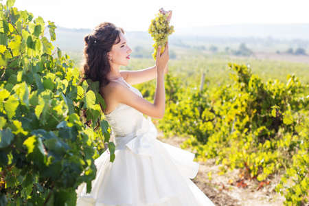Bride wearing nice white dress is walking in a vineyardの写真素材