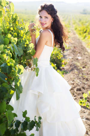 Bride wearing nice white dress is walking in a vineyard wedding time.の写真素材
