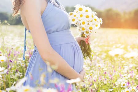 Closeup belly of pregnant woman, holding in hands bouquet of daisy flowers outdoors, new life conceptの写真素材