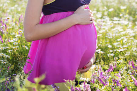Belly of pregnant woman in meadow of chamomile flowers, sunset time, new life conceptの写真素材
