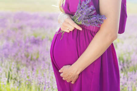 Belly of pregnant woman is wearing purple dress resting in the lavender fieldの写真素材
