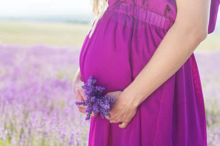 Belly of pregnant woman is wearing purple dress resting in the lavender fieldの写真素材