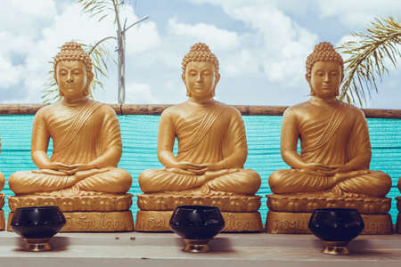 Many golden Buddha statues in temple in Thailand