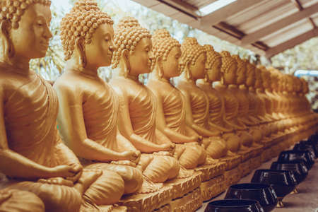 Many golden sitting Buddha statues in temple in Thailandの写真素材