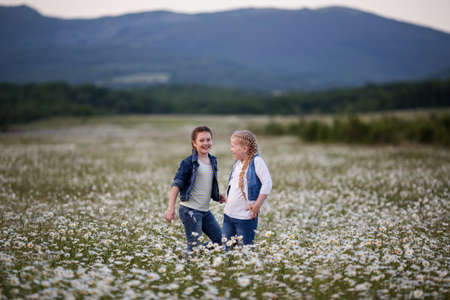 Two pretty child girls are walking at camomile fieldの写真素材