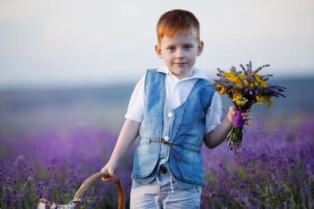Happy fashion boy in lavender summer field with lavender bouquet in hands at sunset.の写真素材