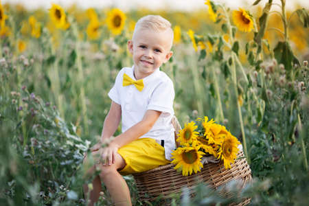 Beautiful child boy in yellow garden of sunflowersの写真素材