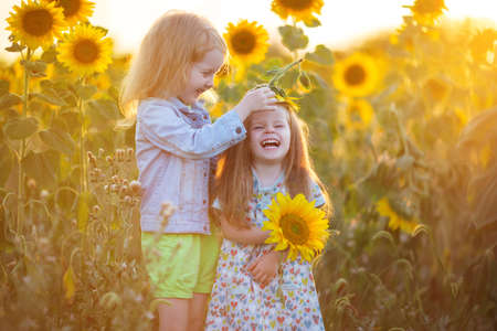 Two beautiful little girls in yellow garden of sunflowersの写真素材