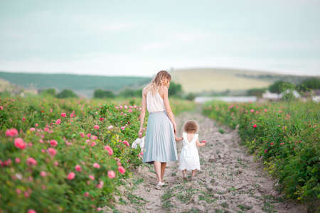 Beautiful couple child girl with pretty young mother are walking in spring garden with pink blossom roses flowersの写真素材